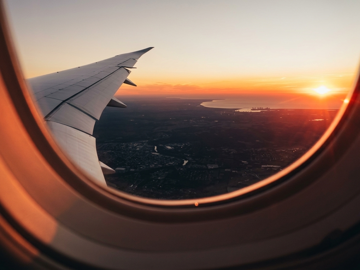 Flight View