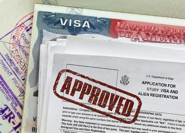 Visa services